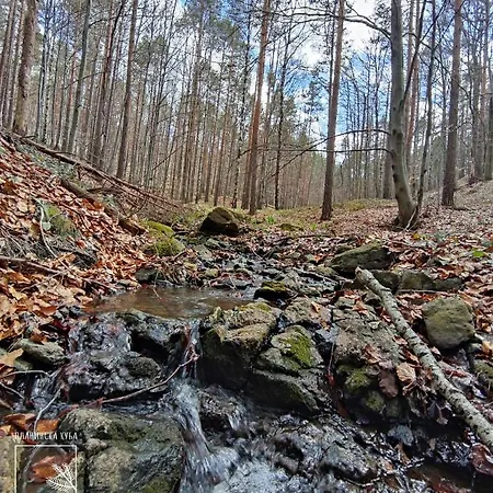 Planinska Kuca Cudesni Bor *