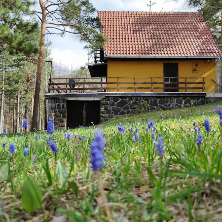 Planinska Kuca Cudesni Bor Divčibare