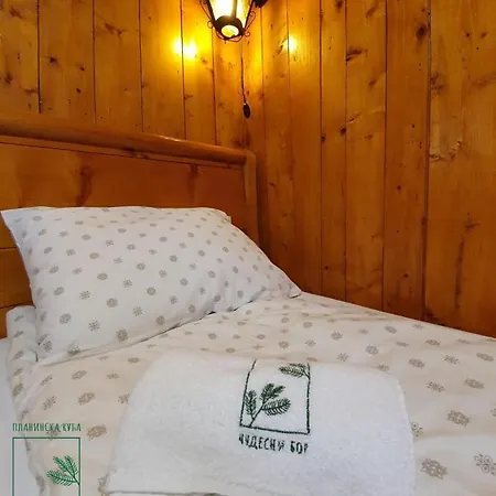 Planinska Kuca Cudesni Bor *