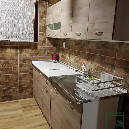 Semesterbostad Planinska Kuca Cudesni Bor